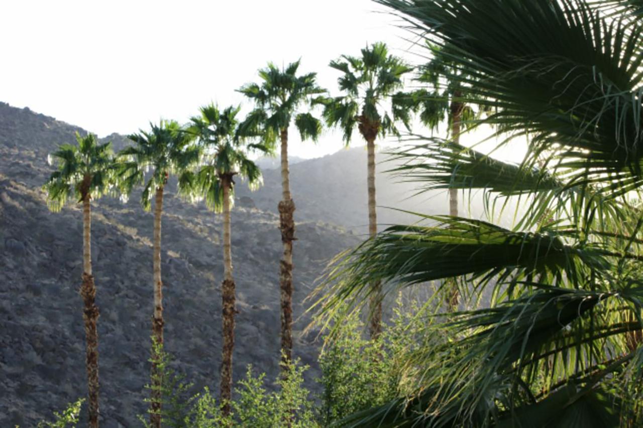 Villa Thornhill Palm Springs Esterno foto