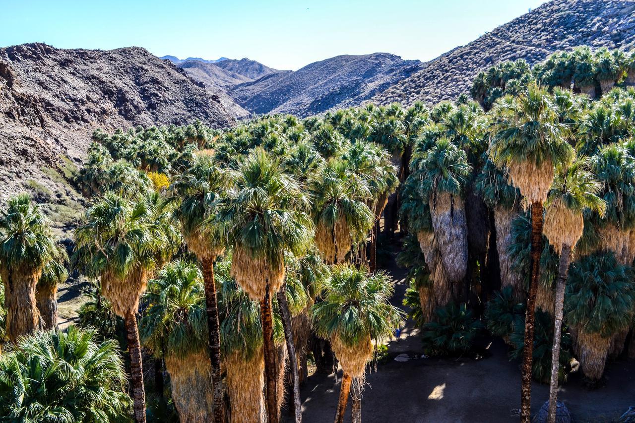 Villa Thornhill Palm Springs Esterno foto